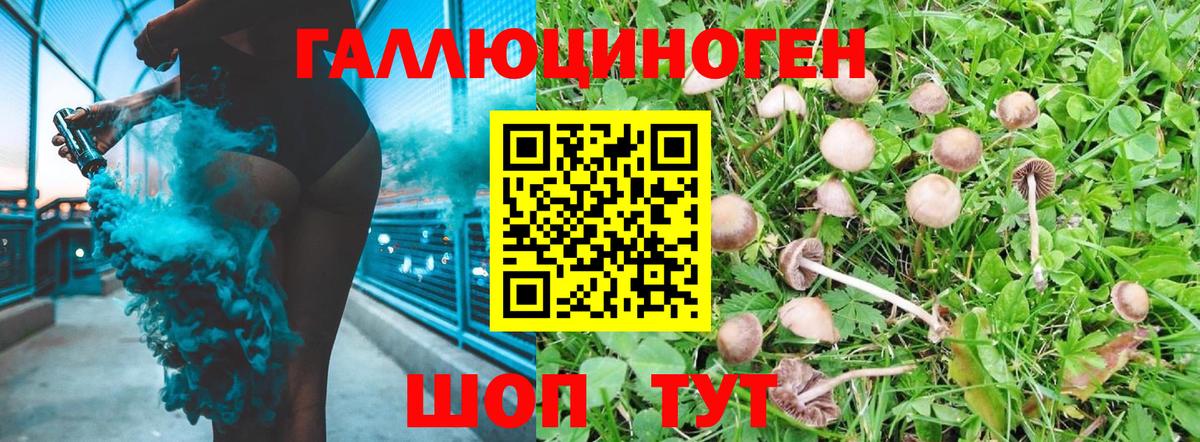 Каннабис Петропавловск-Камчатский