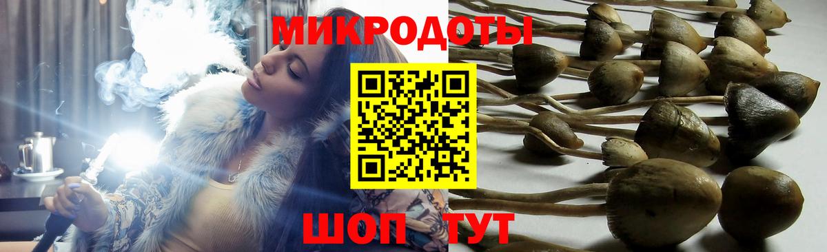 Псилоцибиновые грибы мицелий  Вход с VPN  купить   Псилоцибиновые грибы Psilocybine cubensis  Петропавловск-Камчатский 